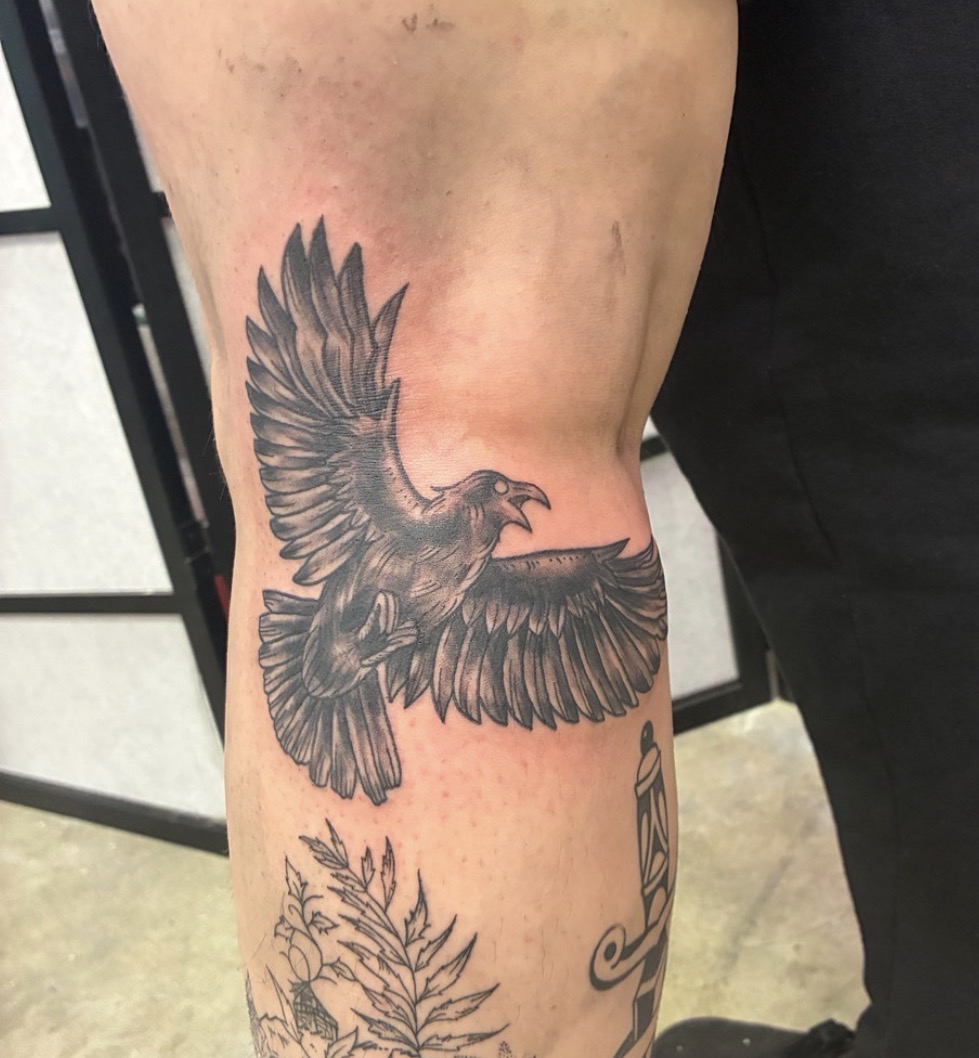 Raven