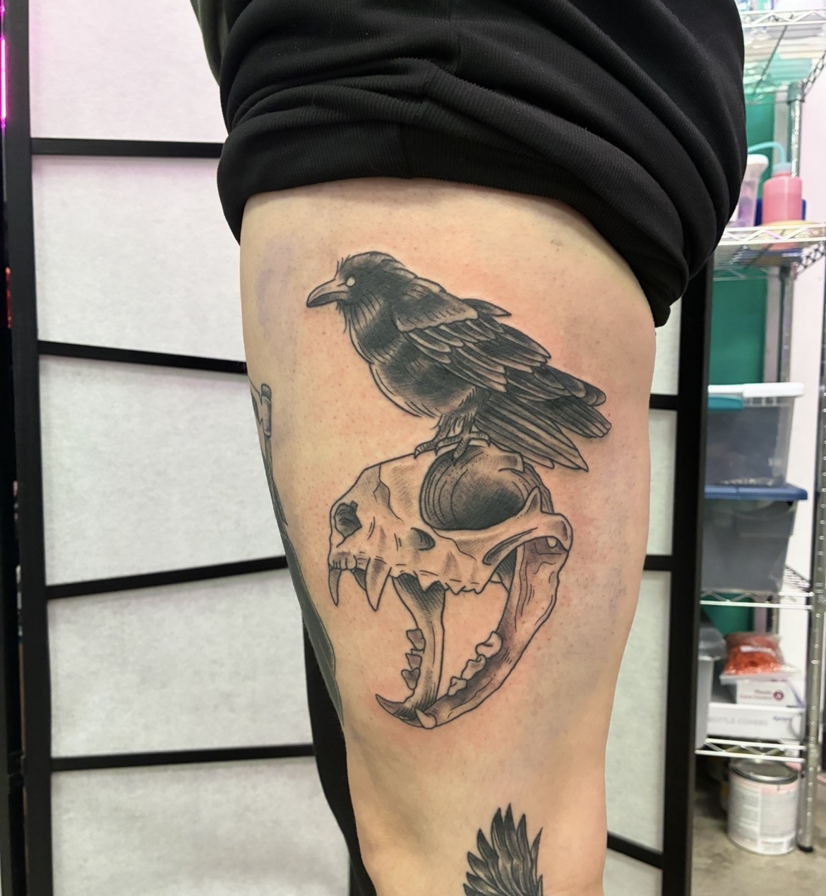 Raven with Skull