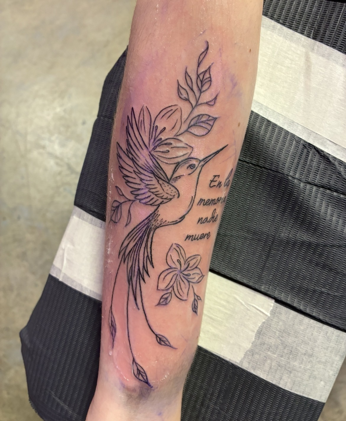 Hummingbird